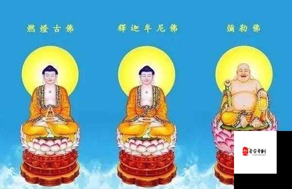 梦幻西游无双版，烧塔燃灯副本高效通关策略揭秘